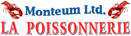 Monteum Ltd. Logo